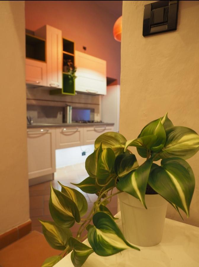 סיינה Il Nido Dell'Aquila By Francigenaapartments מראה חיצוני תמונה